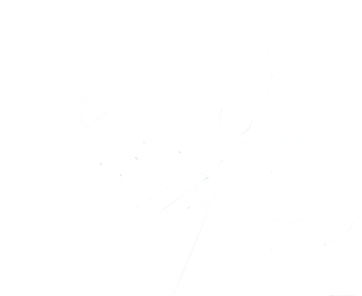 VR